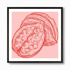 Pomegranate 4 Art Print