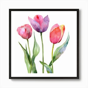 Watercolor Tulips Art Print