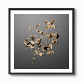 Gold Botanical Virgin's Bower on Soft Gray n.1456 Art Print