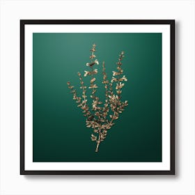 Gold Botanical Cat Thyme Plant on Dark Spring Green n.4751 Art Print