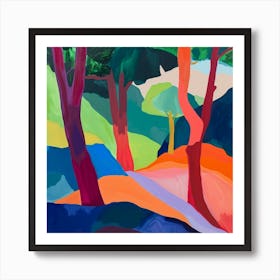 Colourful Abstract Muir Woods National Park Usa 2 Art Print