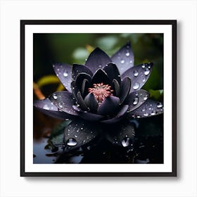 Lotus Flower 2 Art Print