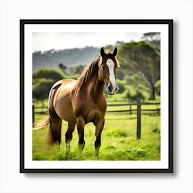 Grass Graze Equestrian Pasture Horse Rural Farm Mare Nature Field Mammal Ranch Pet Graz (2) Art Print