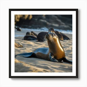 Sea Lions On The Beach Art Print