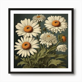 Oxeye Daisy Floral Botanical Vintage Poster Flower Art print 2 Art Print