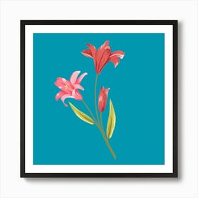 Pink Lilies 2 Art Print