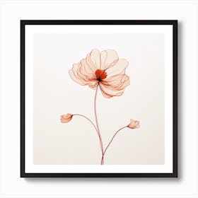 Poppy Stock Videos & Royalty-Free Footage Art Print