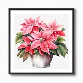 Poinsettia 35 Art Print