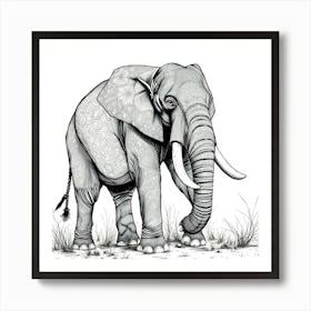 Elephant With Tusks Art Print