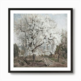 Cherry Tree In Bloom Art Print