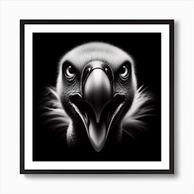 Vulture 4 Art Print