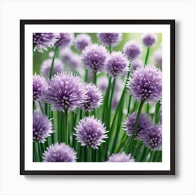 Chives 10 Art Print