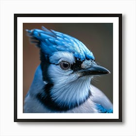 Blue Jay 1 Art Print