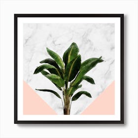 Banana Plant on Pink and Marble Wall Art Print