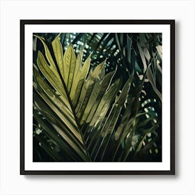 'Palm Leaf' 1 Art Print