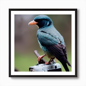 Birb. Art Print