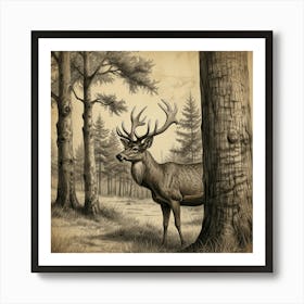 Deer In The Woods 17 Art Print