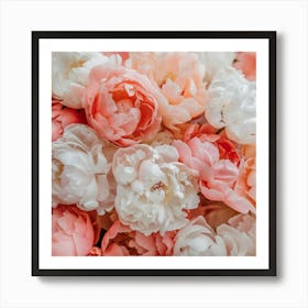 Peach And Pink Peonies Art Print