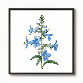 Bluebells Art Print