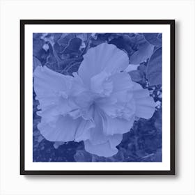 Blue Sapphire Flower Art Print