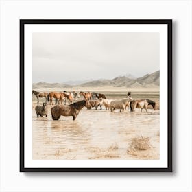 Wild Horses In Utah Square Art Print