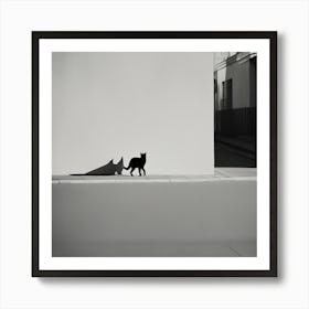 Shadow Of A Cat Art Print