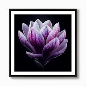 White Purple Magnolia Flower With Dew Drops Art Print