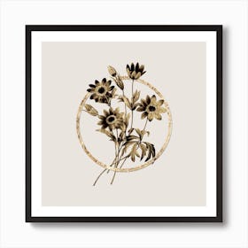 Gold Ring Broad Leaved Anemone Glitter Botanical Illustration n.0009 Art Print