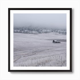 Winters Edge Art Print