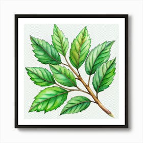 Branch Of Green Leaves With Detailed Veins 1 Art Print