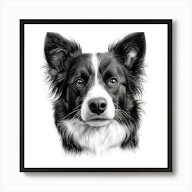 Border Collie Poster