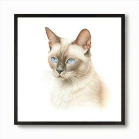 Burmese Platinum Cat Portrait 2 Art Print