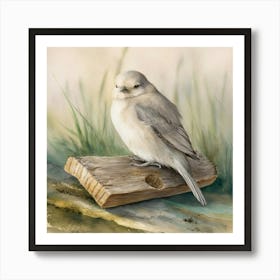 Sedge Warbler Art Print