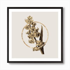Gold Ring Oriental Hyacinth Glitter Botanical Illustration n.0226 Art Print