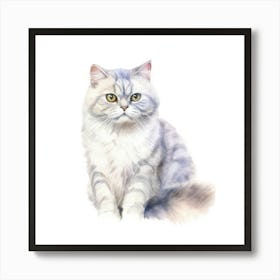 American Shorthair Persian Cat Portrait Art Print