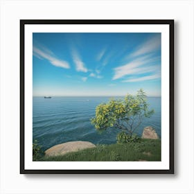 Rocky Shore Art Print