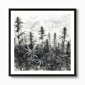 Cannabis Field Art Print