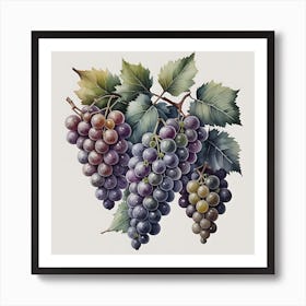 Luscious Vineyard 1 Art Print