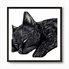 Black Cat Sleeping Art Print