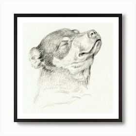 Head Of A Sleeping Dog, Jean Bernard Art Print