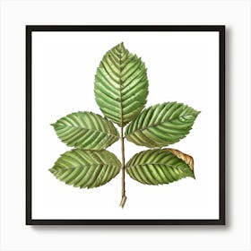 Sassafras Leaf Art Print