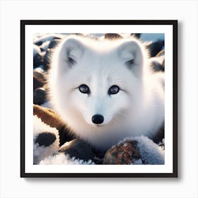 Arctic Fox 1 Art Print