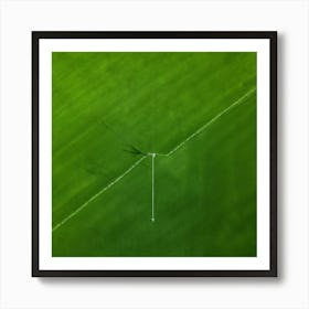 Lawn Green Grass Line Drone Person Surface Field Descending Adult Day Greenery Sharpened Art Print