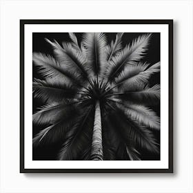 Palm Tree At Night Art Print