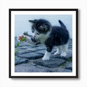 Kitten Playing With Flowers Art Print