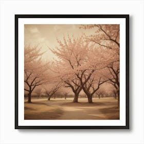 Cherry Blossoms 22 Art Print