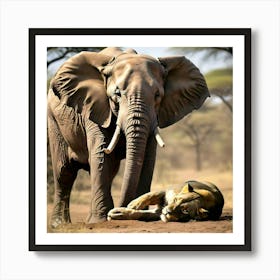 Lion And Elephant Art Print