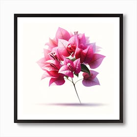 Pink Bougainvillea Flowers Art Print