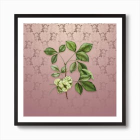 Vintage Common Hoptree Botanical on Dusty Pink Pattern n.2128 Art Print