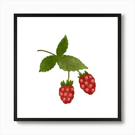 Raspberries branch Art Print